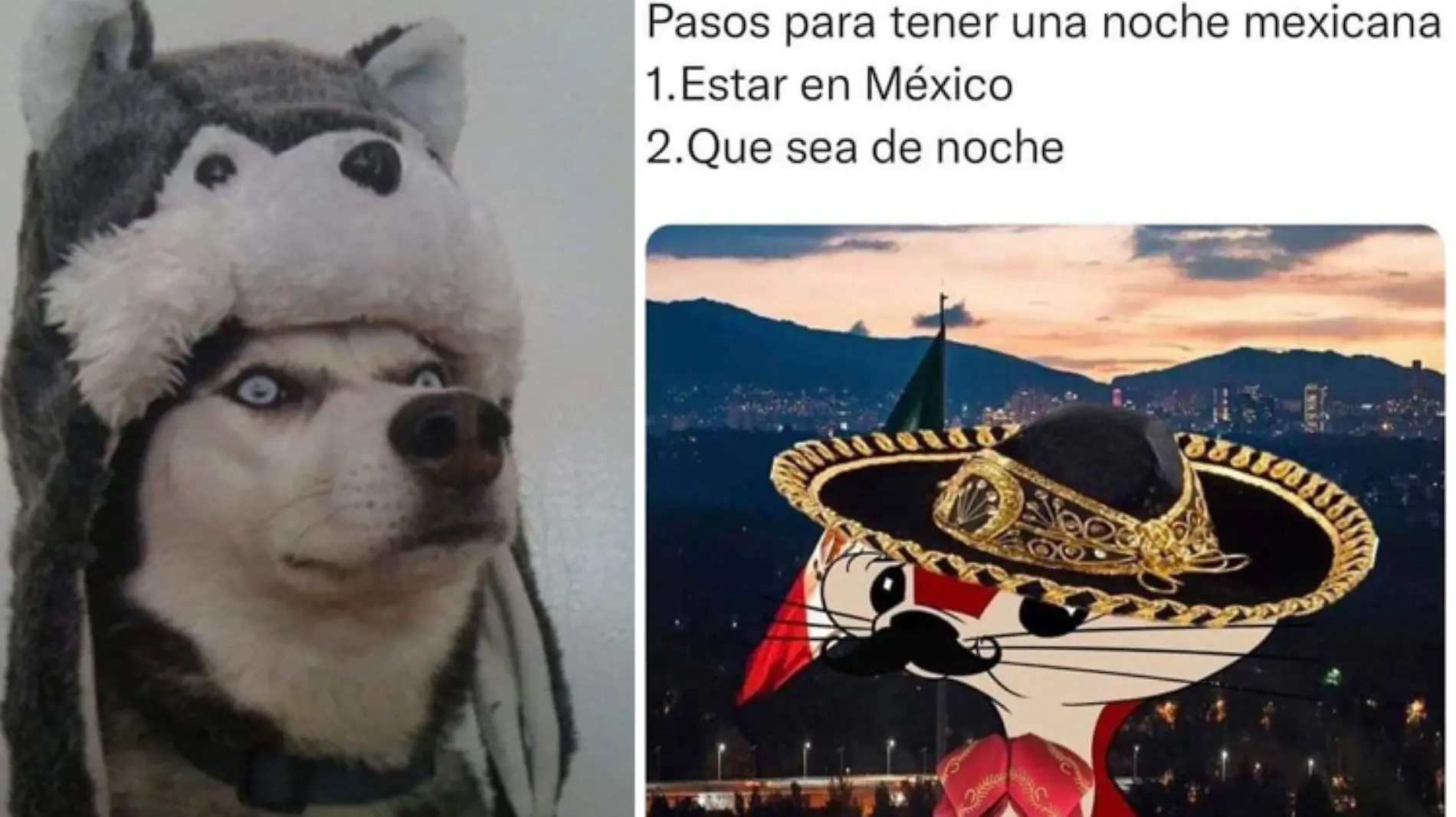 Este es el chido